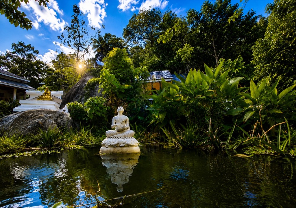 White Buddha statue in a pond at the temple next door