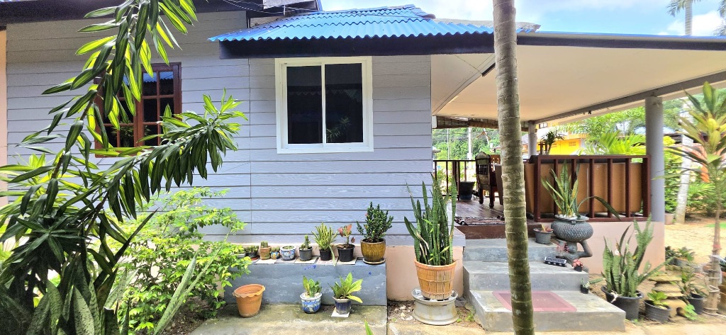 Blue house exterior with tropical plants