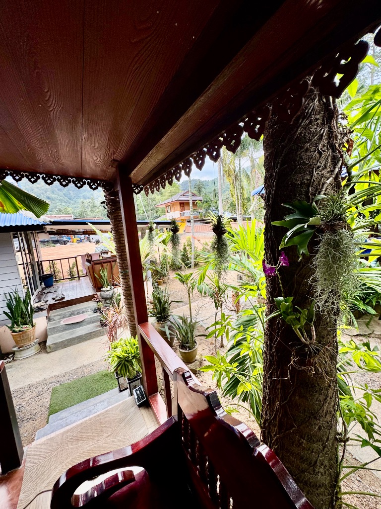 2-bedroom house — veranda with orchids and garden view